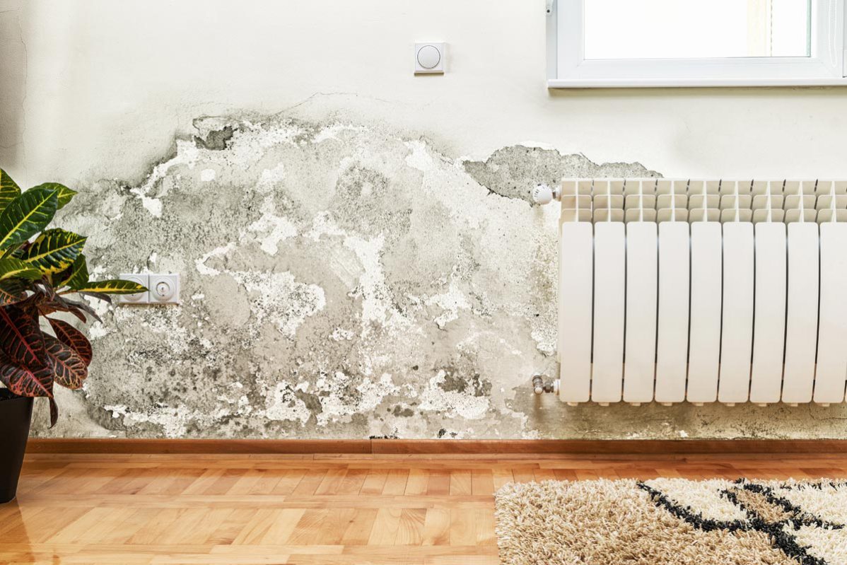Umidità in casa: soluzioni per risanare le pareti spendendo poco